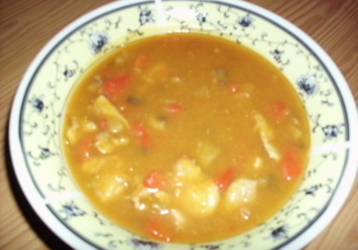Jesienna gęsta zupa gulaszowa foto