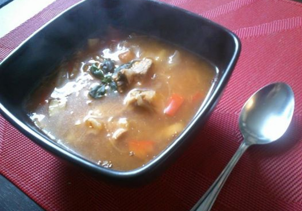 Jesienna zupa z kiszoną kapustą foto