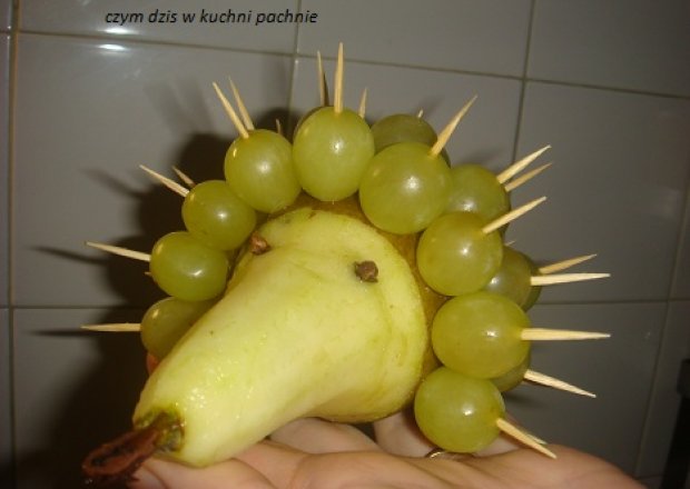 Fotografia przedstawiająca Jeż owocowy