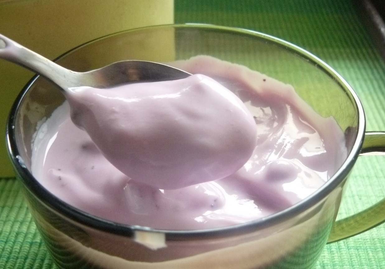 Jogurt borówkowy foto