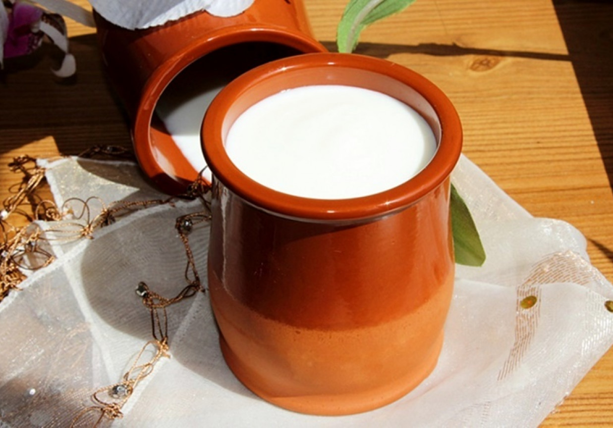 Jogurt domowy w 10 minut (z mleka zwierzęcego lub roślinnego ...