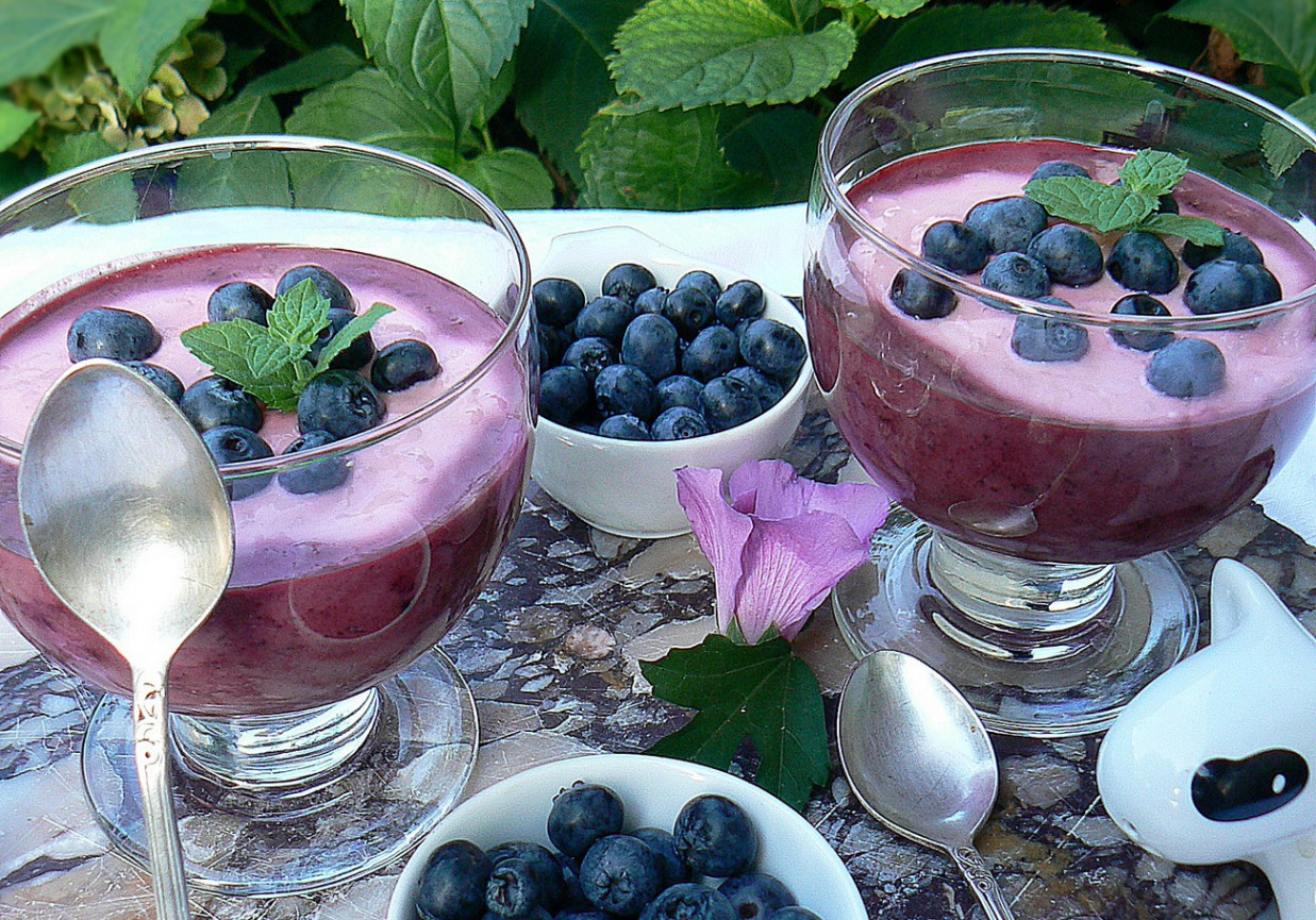 Jogurt jagodowo malinowy foto