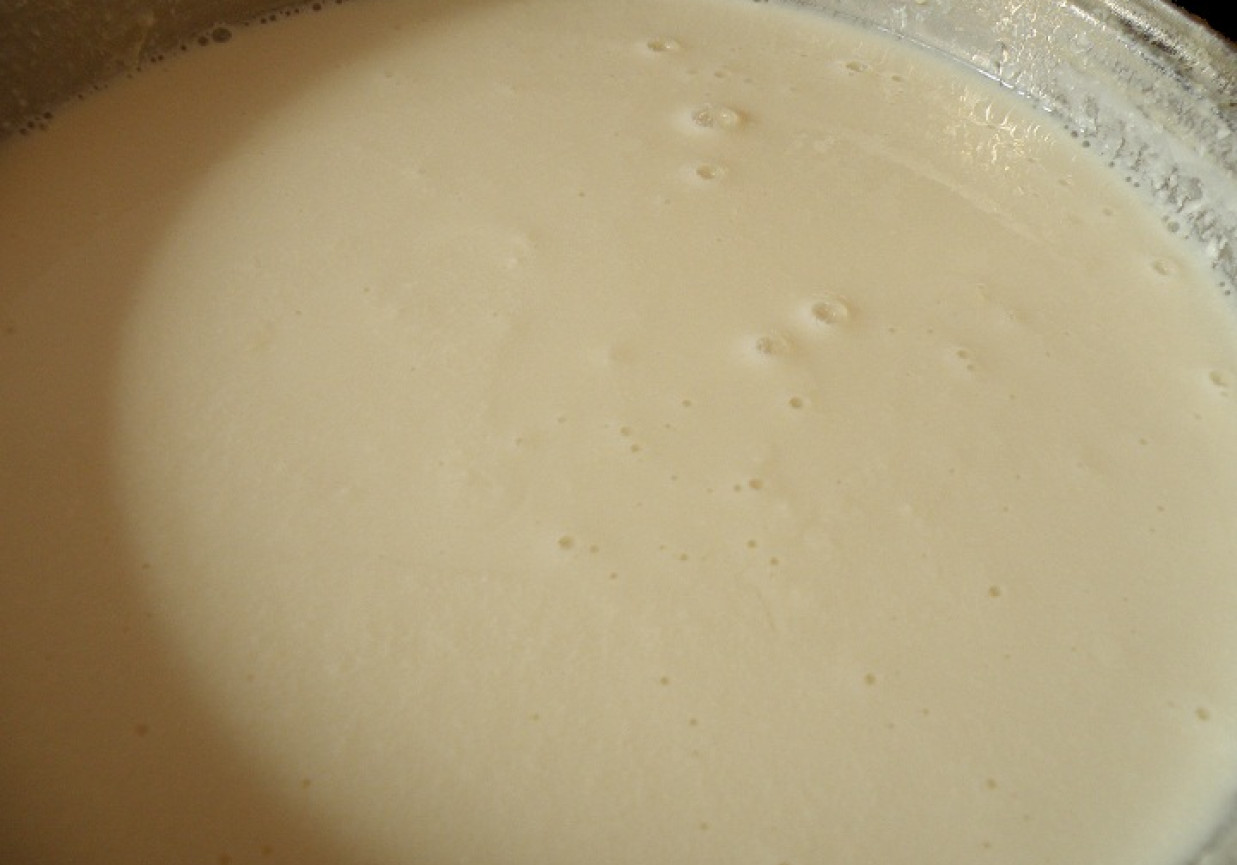 Jogurt sojowy naturalny foto