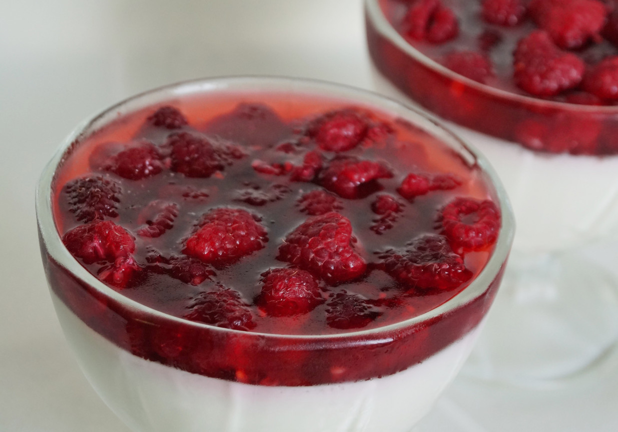 Jogurtowa panna cotta z malinami DoradcaSmaku.pl