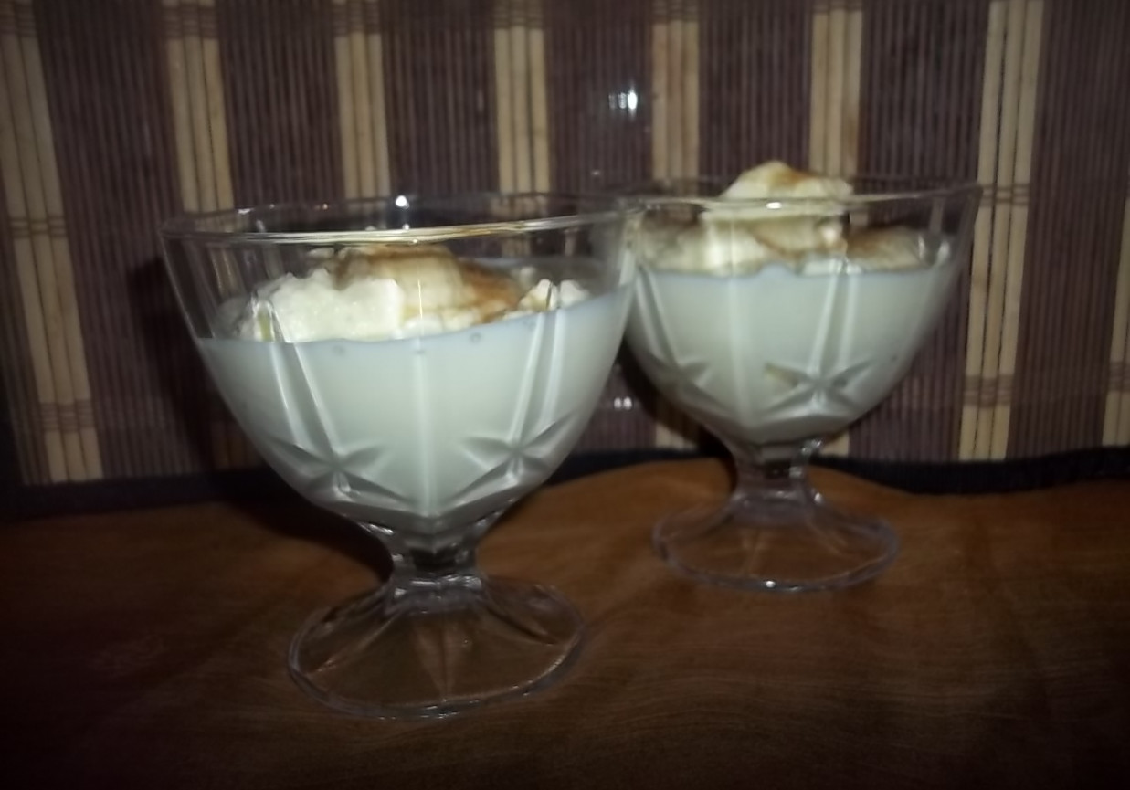 Jogurtowe lody z białą czekoladą foto
