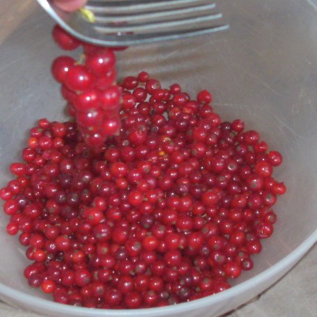 Krok 1 - jogurtowy porzeczkowiec czyli łatwe,tanie,szybkie ciasto... foto
