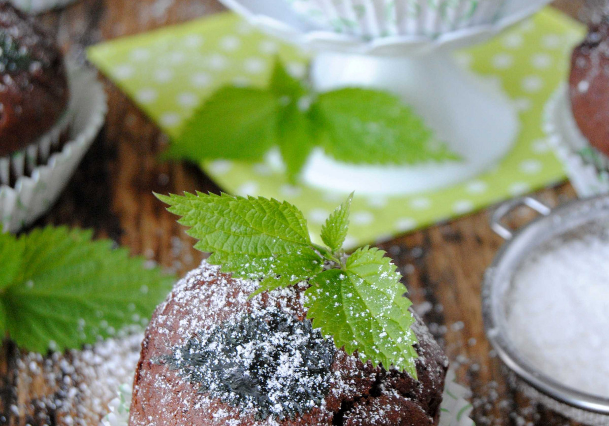 Kakaowe muffiny z pokrzywą foto
