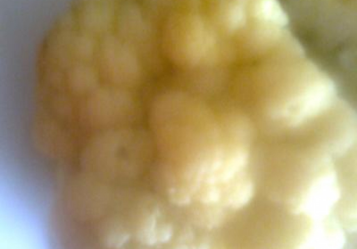 kalafior dietetyczny gotowany w bulionie warzywnym z liściem laurowym foto