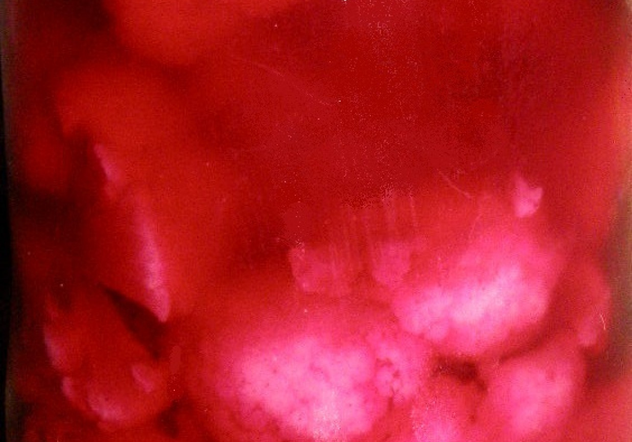 Kalafior marynowany na różowo foto