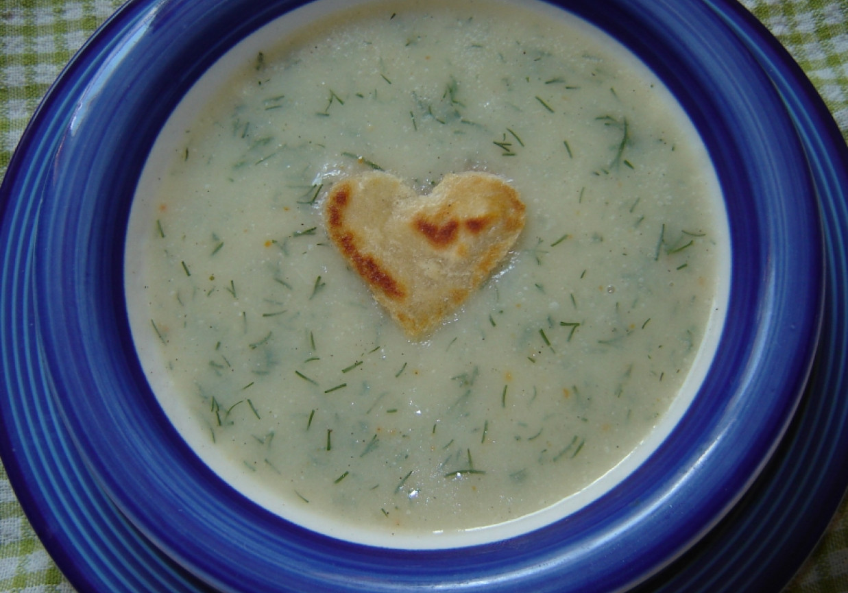 Kalarepkowa zupa kremowa z koperkiem foto
