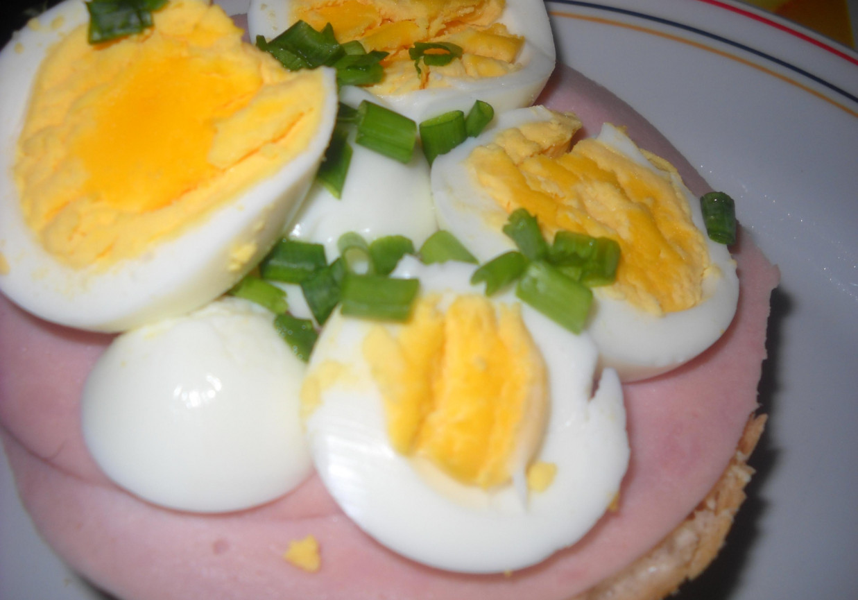 Kanapka dla łasucha z pieczonym serem i jajkiem foto