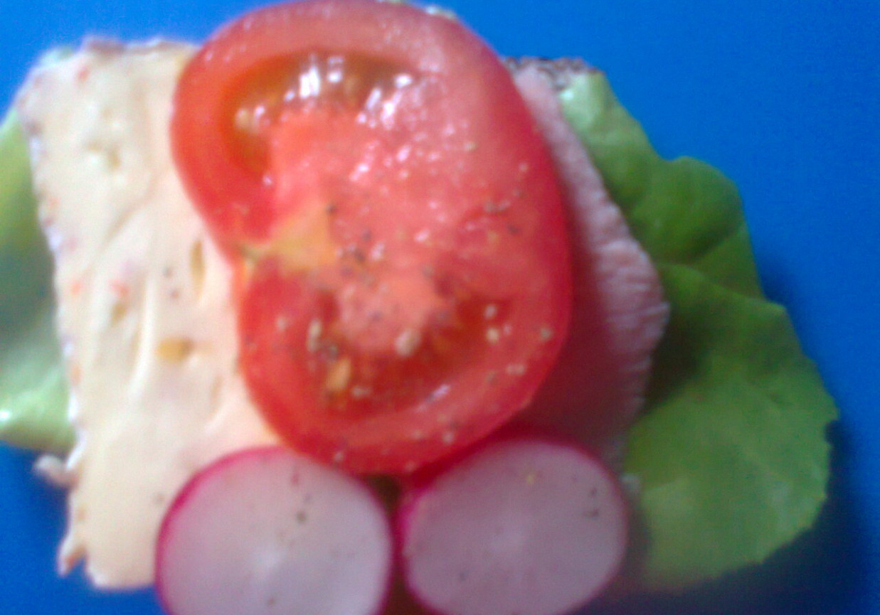 Kanapka kolacyjna z sałatą, serem podpuszkowym z pepperoni i... foto