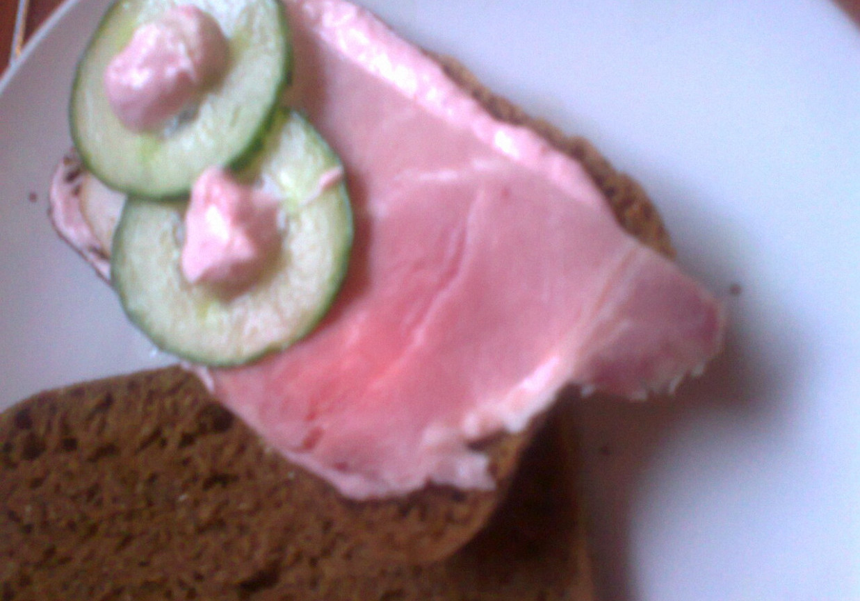 kanapka śniadaniowa z sosem żurawinowym foto