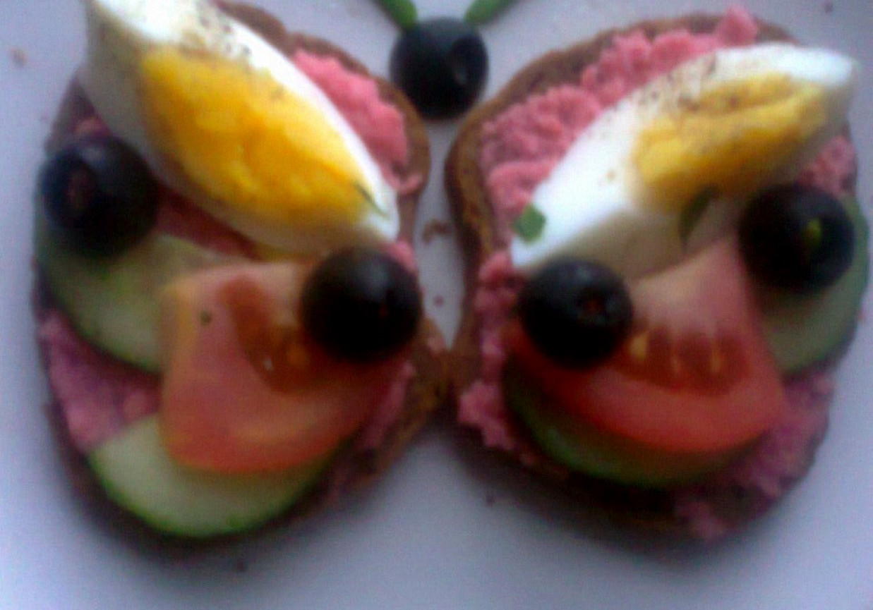 kanapkowy motyl foto