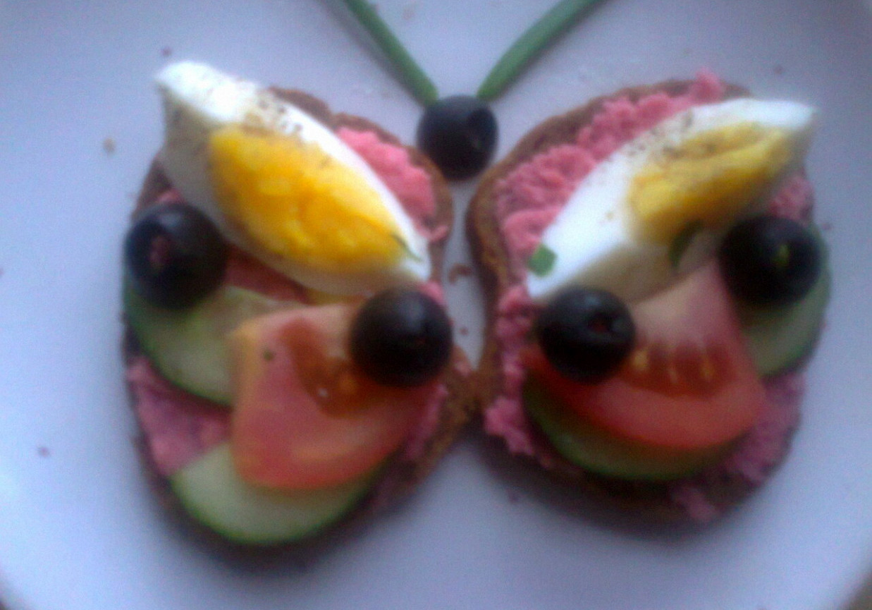 kanapkowy motyl foto