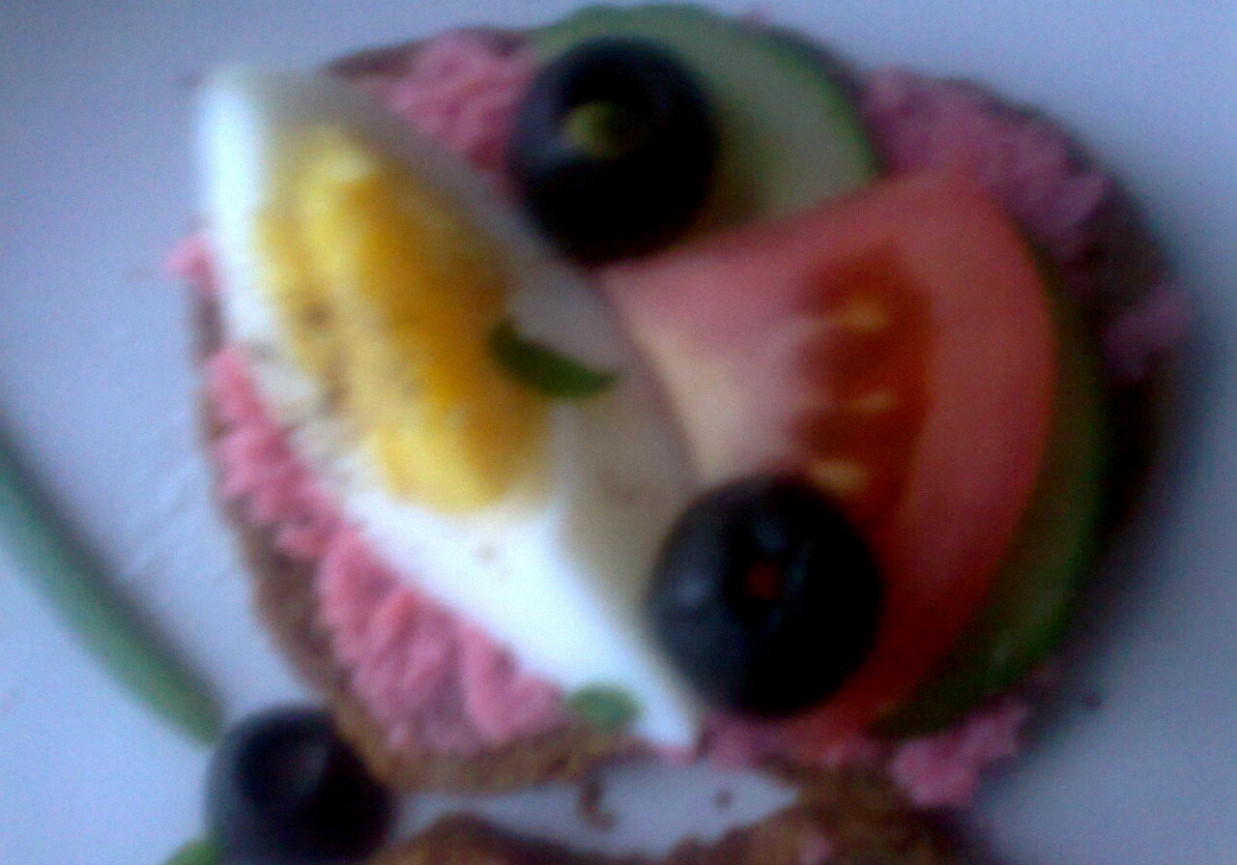 kanapkowy motyl foto