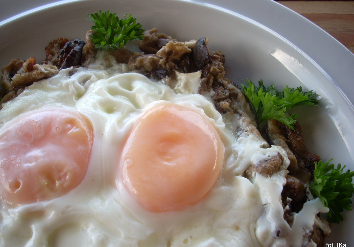 Kanie na śniadanie foto