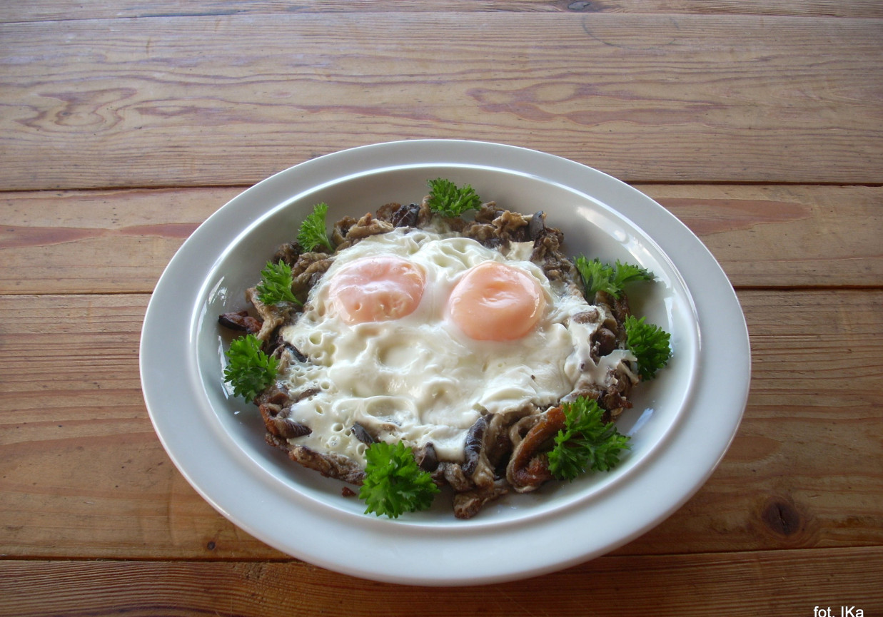 Kanie na śniadanie foto