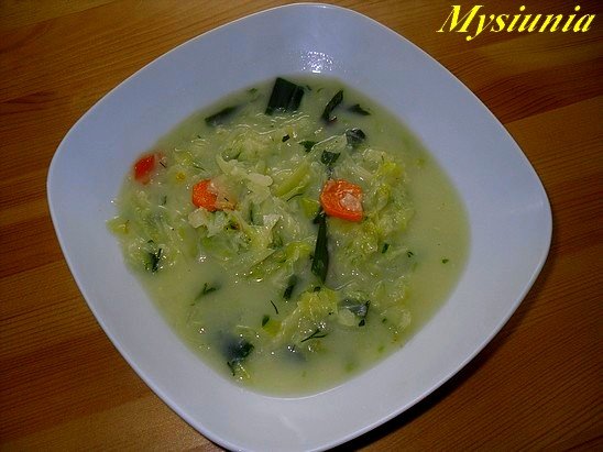Fotografia przedstawiająca Kapuściana zupa na wiosne