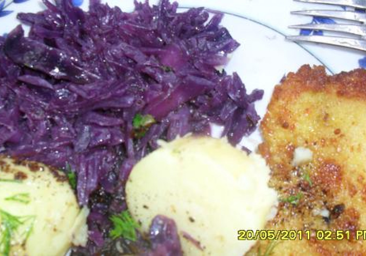 Kapusta czerwona zasmażana foto