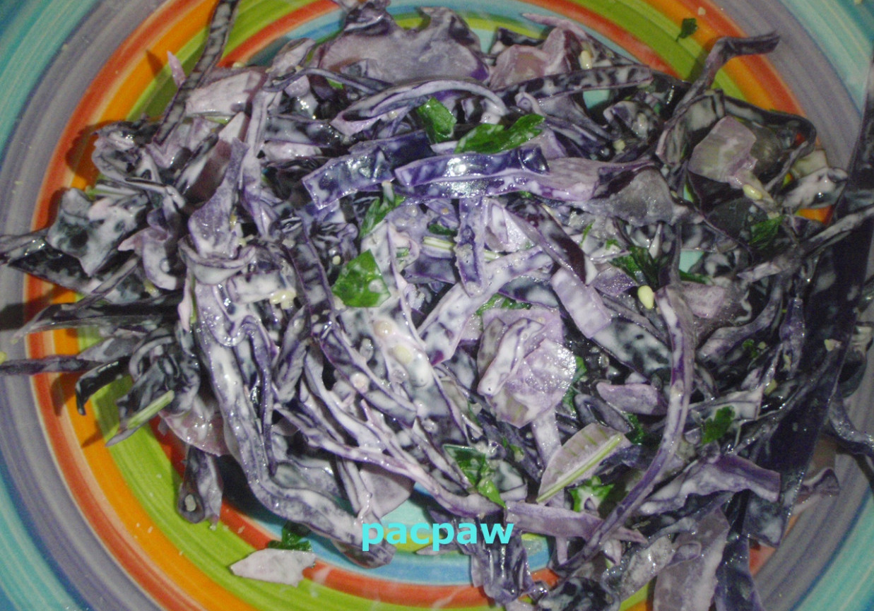 Kapusta modra z gomasio foto