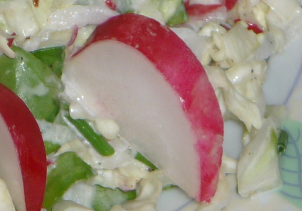Kapusta pekińska z wiosennymi dodatkami w majonezie foto