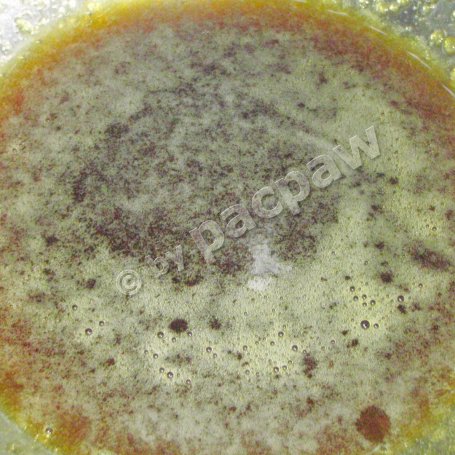 Krok 3 - Karkówka miodowa z chili foto