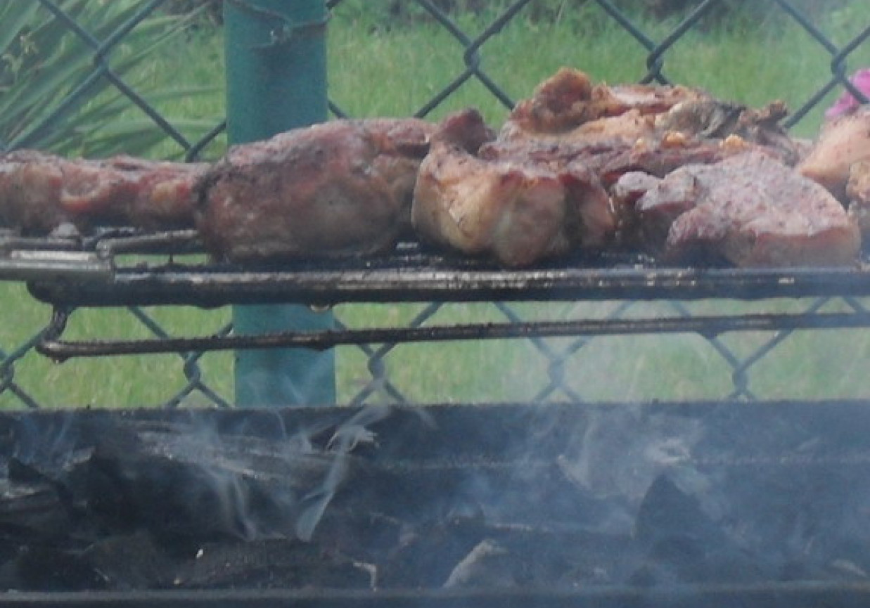 KARKÓWKA Z GRILLA foto