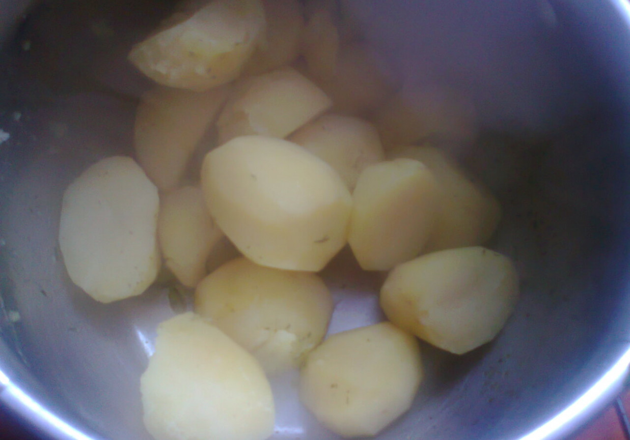 kartofle gotowane z przyprawą Kucharek do ziemniaków foto