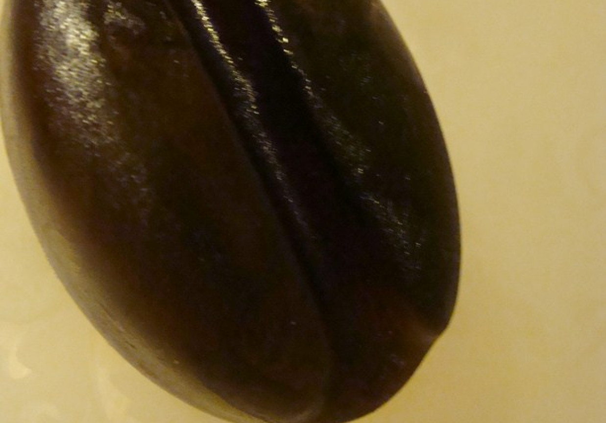 kawowe kostki lodu foto