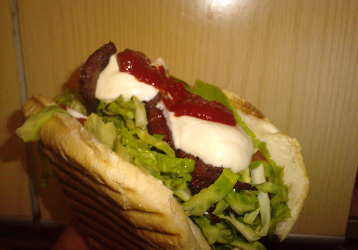 Kebab domowy foto
