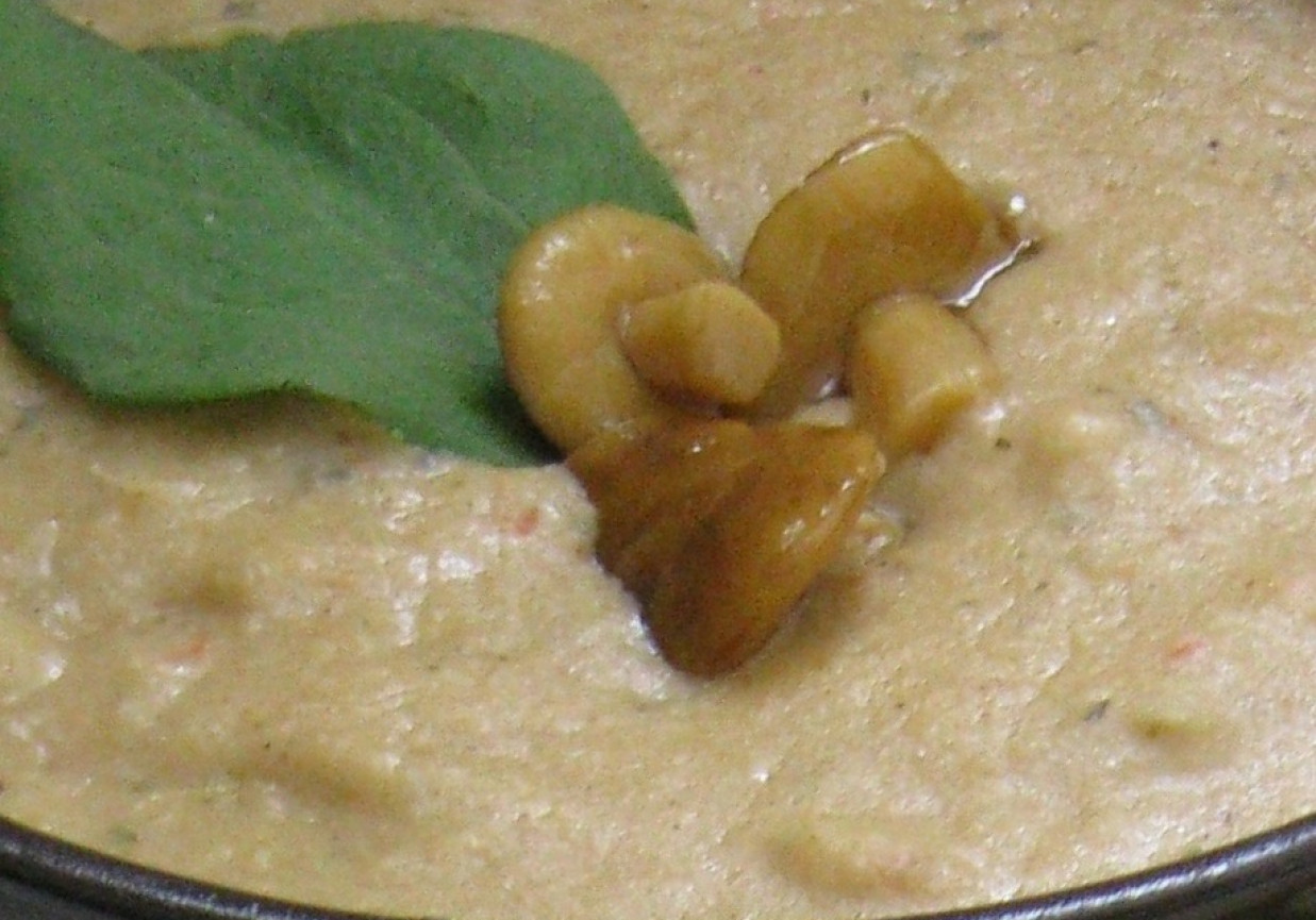Kefirowy sos z marynowanych podgrzybków, cebuli i ostrej papryki foto