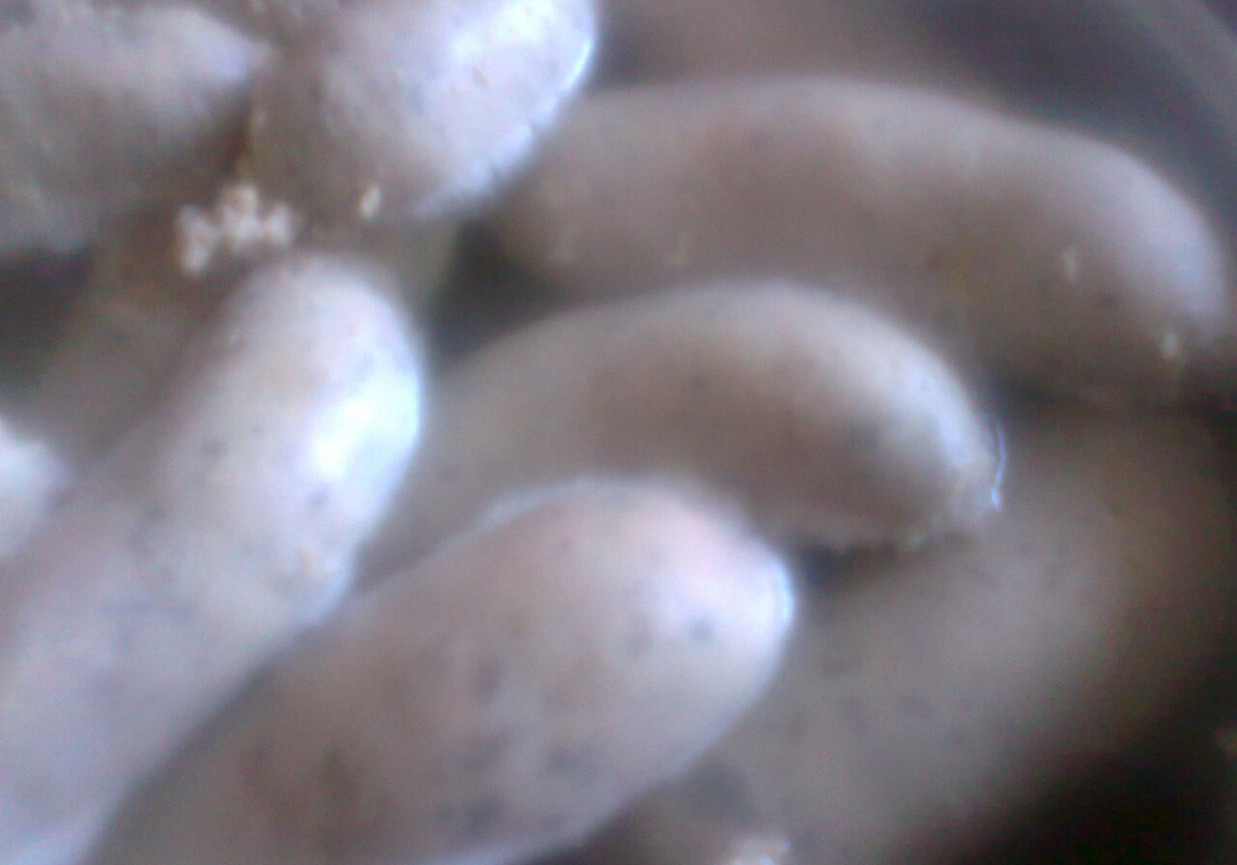 Kiełbasa biała domowa parzona z przyprawami na Wielkanocne śniadanie foto