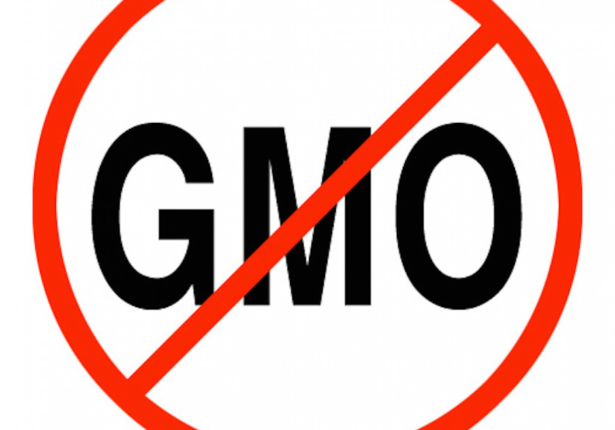 Kilka słów o GMO - żywości modyfikowanej genetycznie