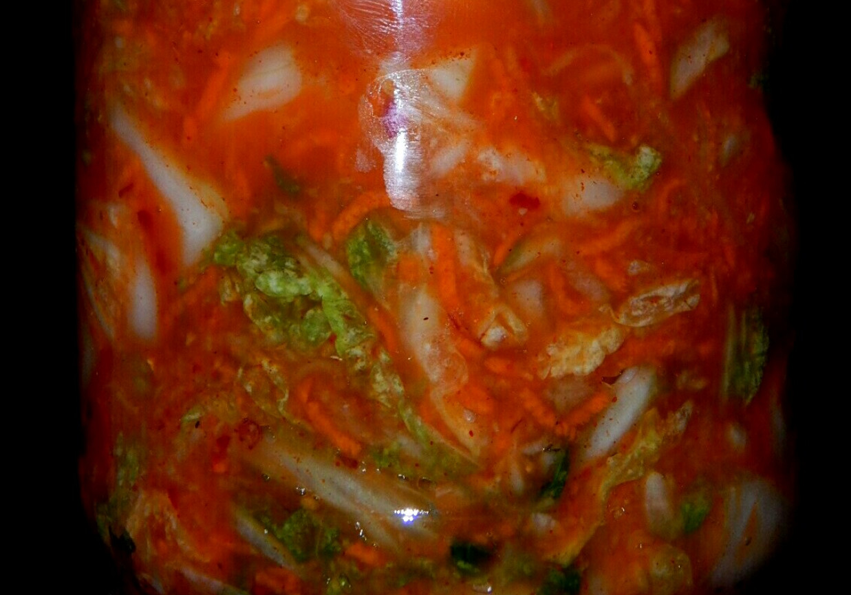 Kimchi z marchewką, ogórkiem i rzodkwią daikon foto