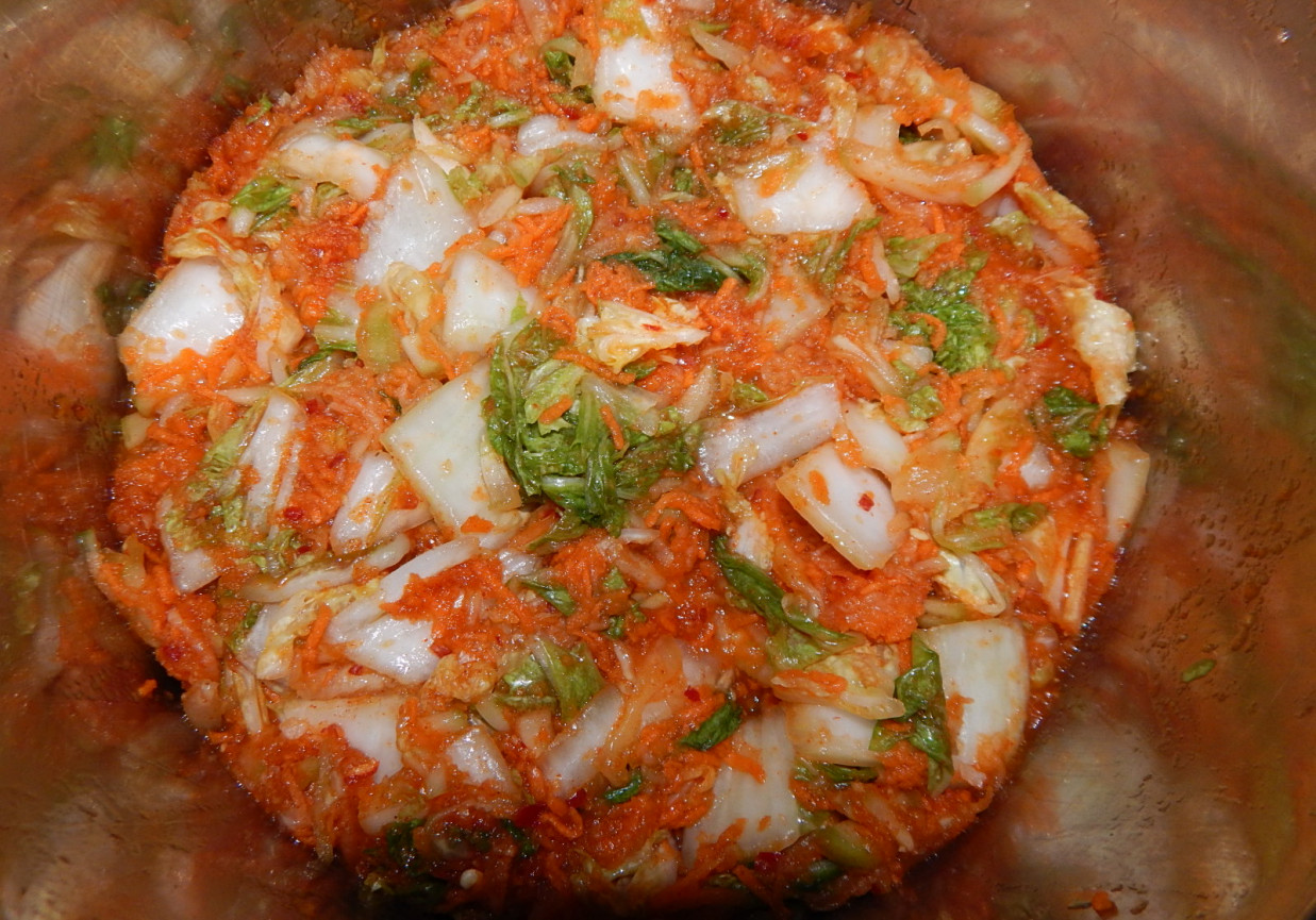 Kimchi z marchewką, ogórkiem i rzodkwią daikon foto