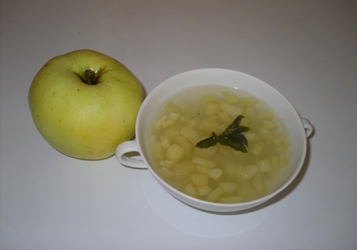 Kisiel jabłkowo – miętowy foto
