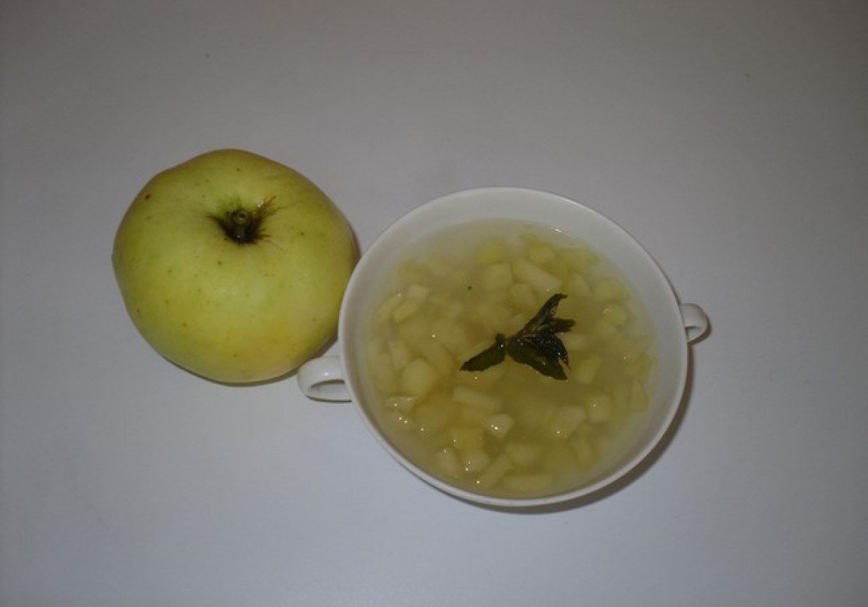Kisiel jabłkowo – miętowy foto