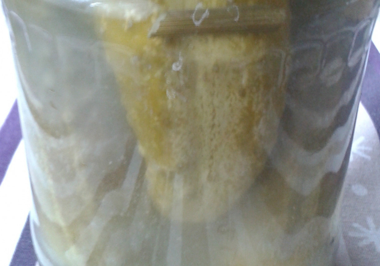 Kiszone ogórki z kolendrą foto