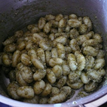Krok 2 - Kluseczki Gnocchi z pesto domowej roboty foto