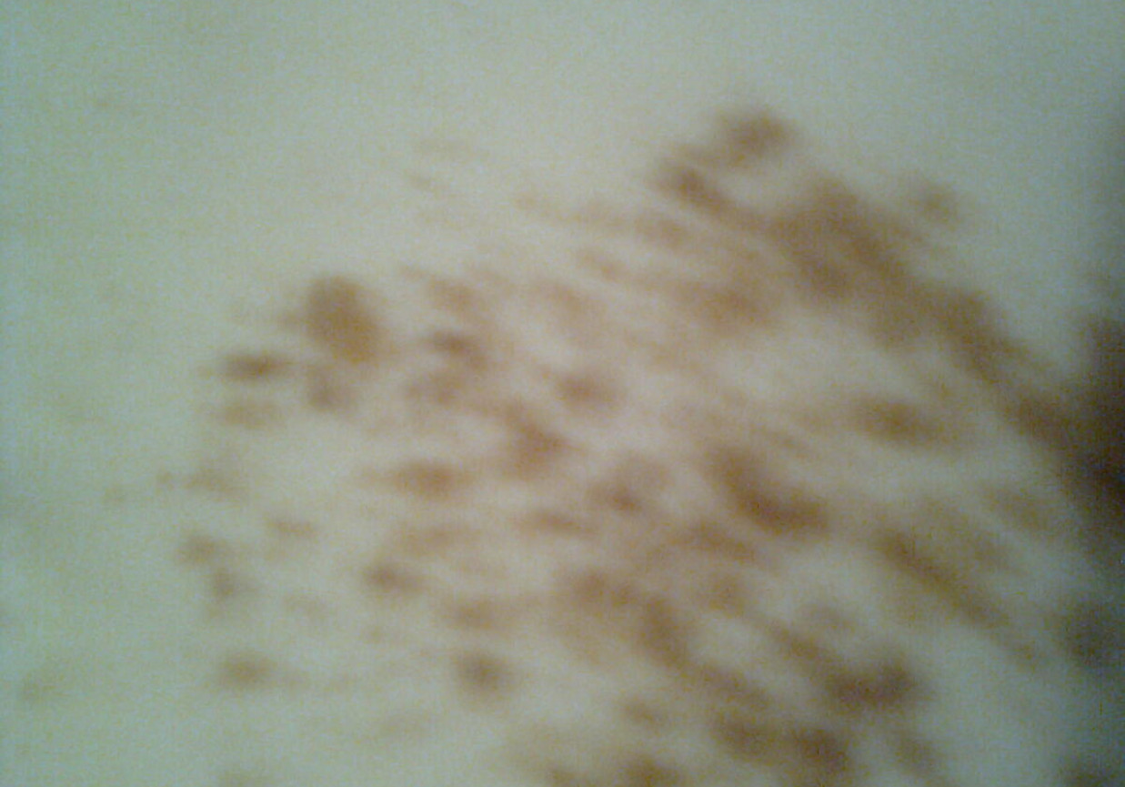 Kluski lane na mleku z cynamonem foto
