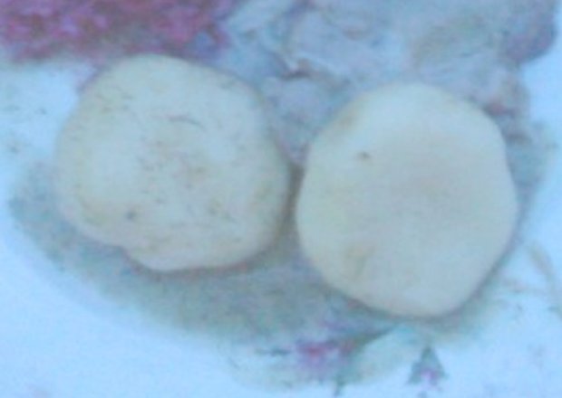 Fotografia przedstawiająca Kluski śląskie