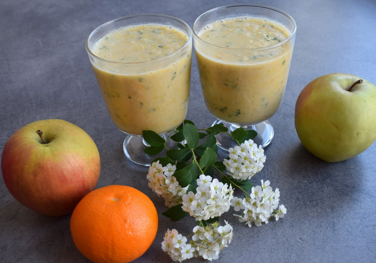Koktajl mandarynkowo-jabłkowy z płatkami owsianymi na maślance foto