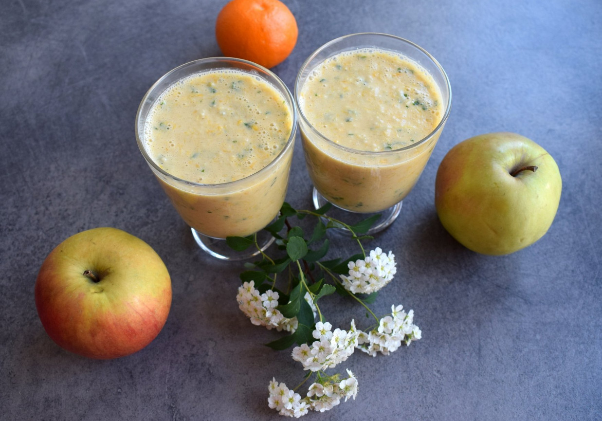 Koktajl mandarynkowo-jabłkowy z płatkami owsianymi na maślance foto