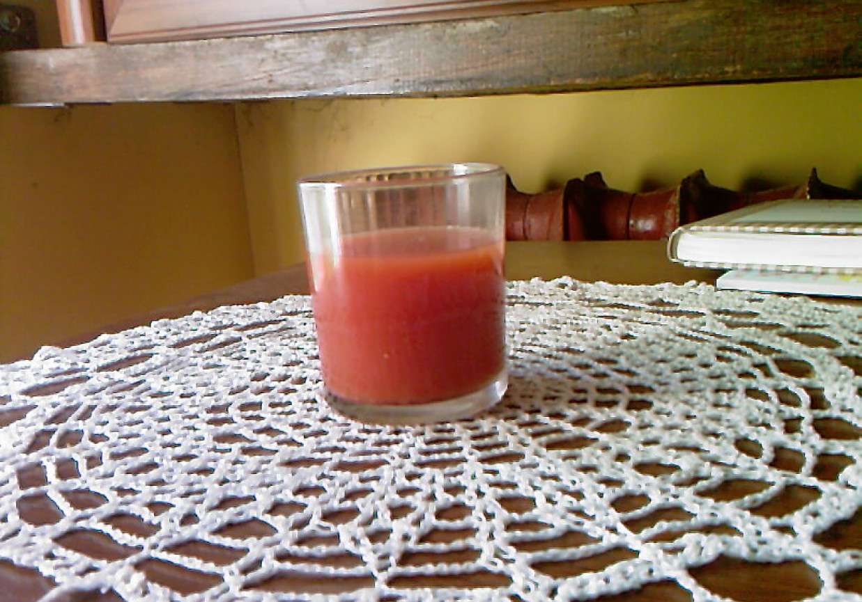 Koktajl pomidorowo-ogórkowy foto