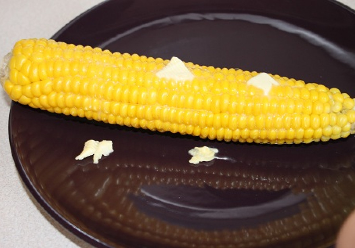 Kolba kukurydzy z parowaru foto
