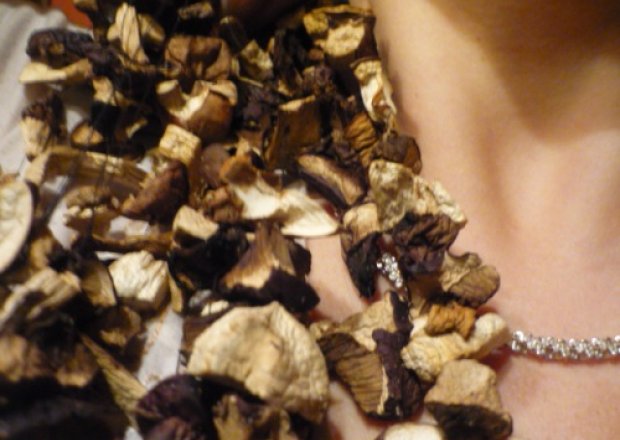 Fotografia przedstawiająca kolia z soszonych grzybów leśnych
