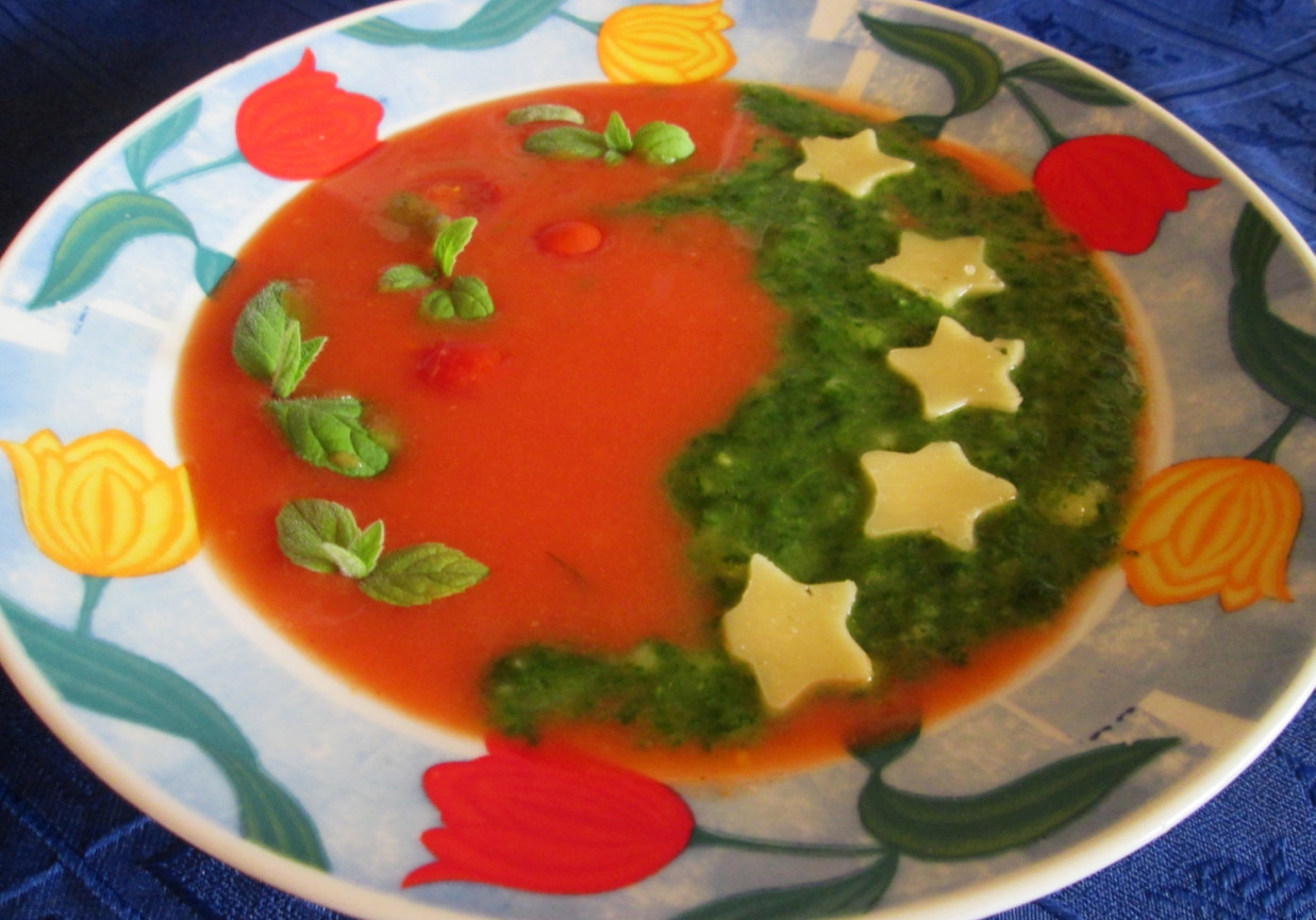 Kolorowa zupa kremowa foto