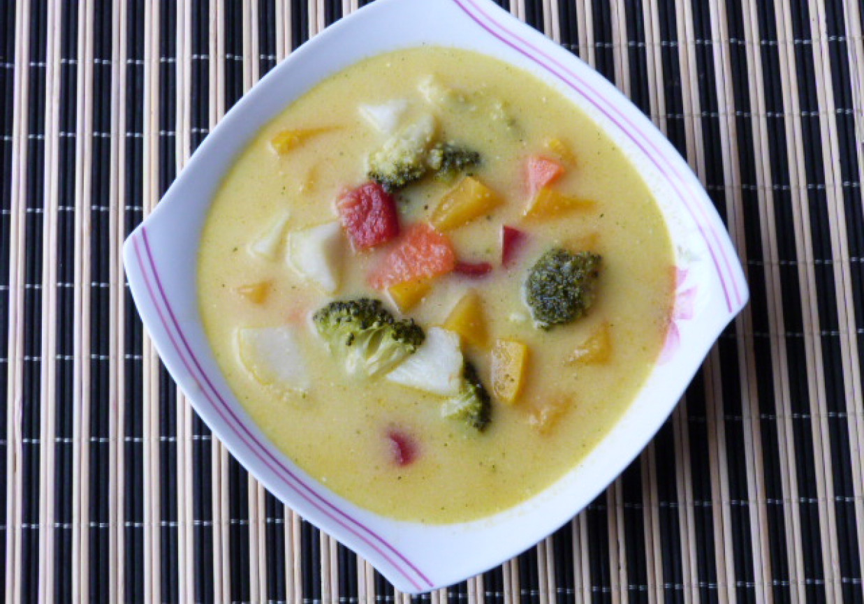 Kolorowa zupa warzywna z kaszą manną foto