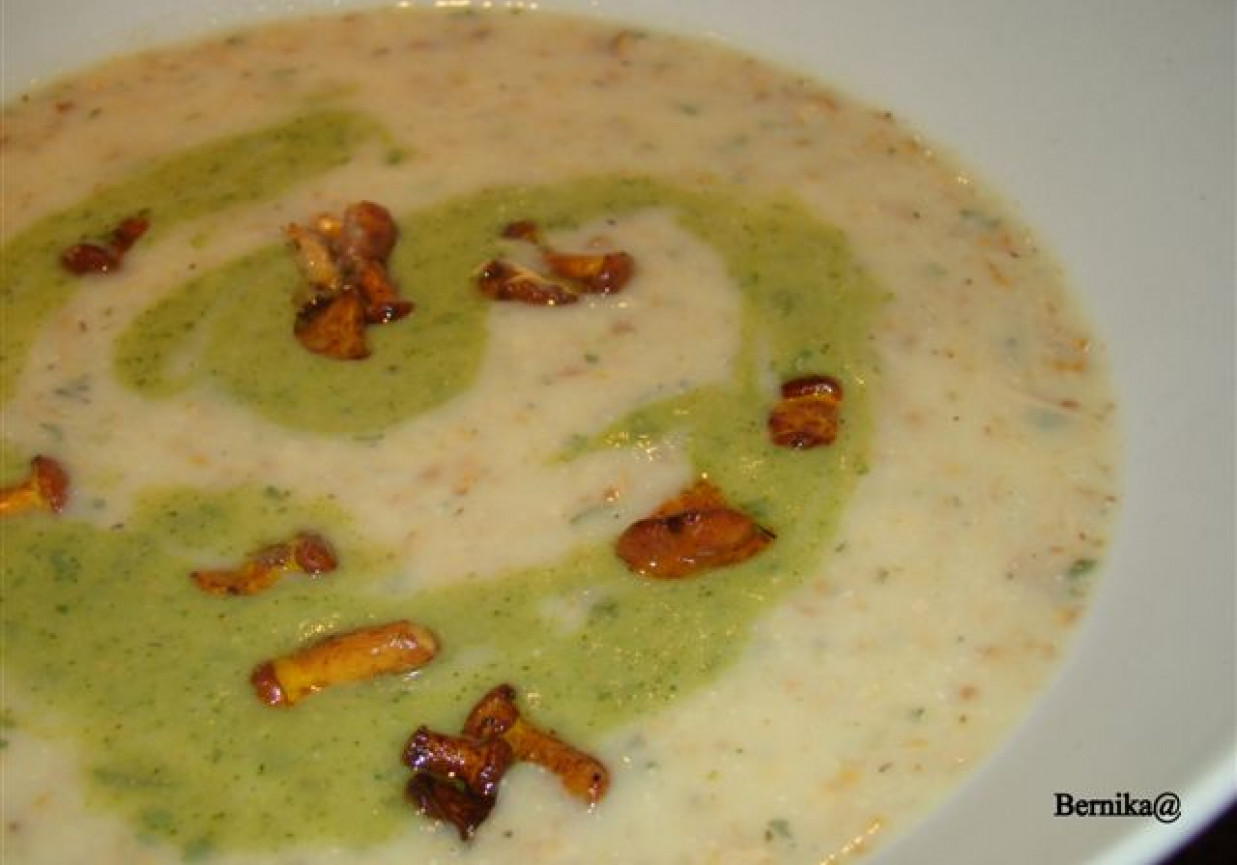 Kolorowa zupa z cukinii i kurek foto